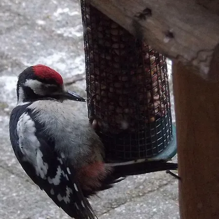 Feriehus De Hoeve Tonden