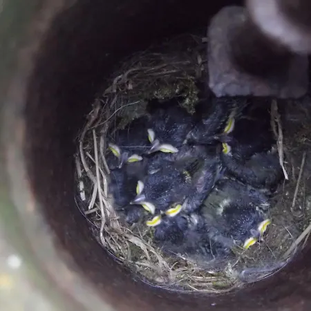 De Hoeve Hébergement de vacances *