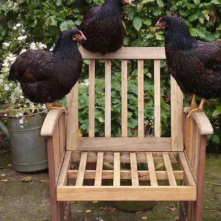 De Hoeve Feriehus Tonden