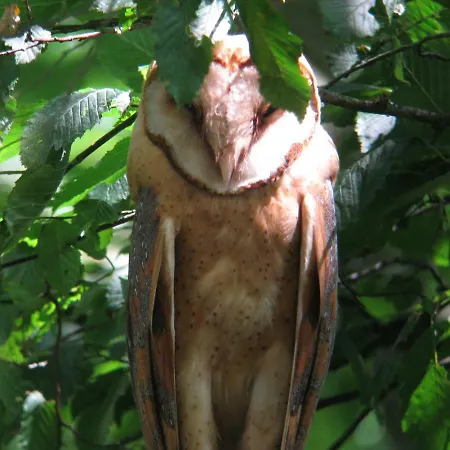 Сasa de vacaciones De Hoeve