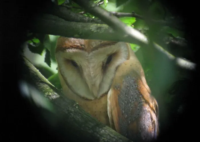 De Hoeve Casa vacanze *