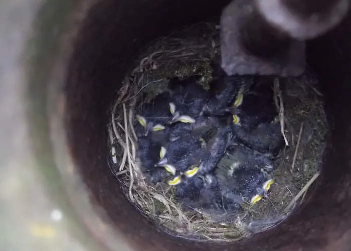 De Hoeve Сasa de vacaciones *