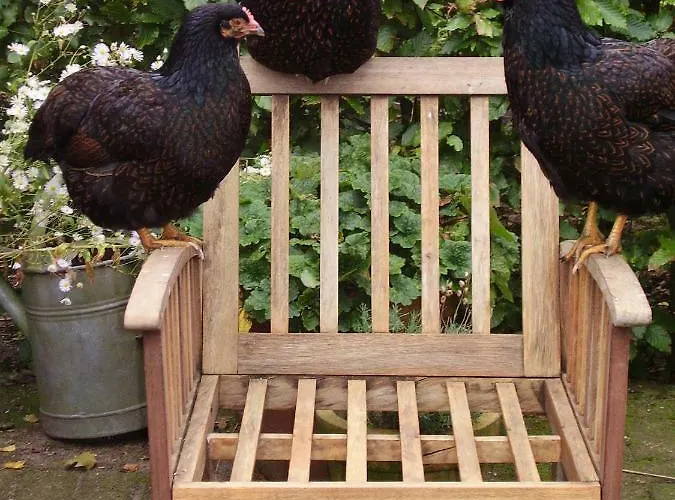 De Hoeve Semesterbostad Tonden